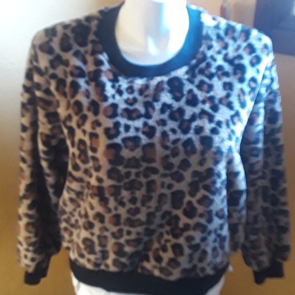 Wild fable xxl cheetah sweater - Picture 1 of 4